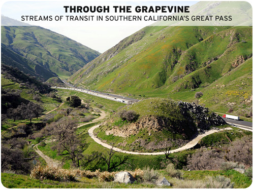 clui: through the grapevine