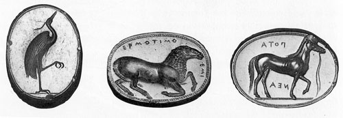 evolution of the logo