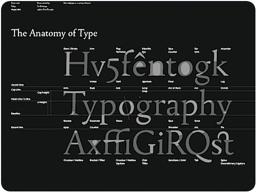 anatomy of type