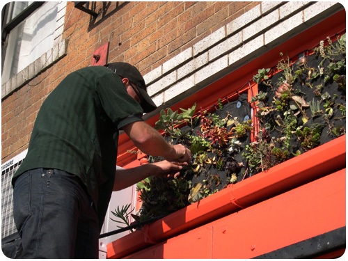 green wall at machine project