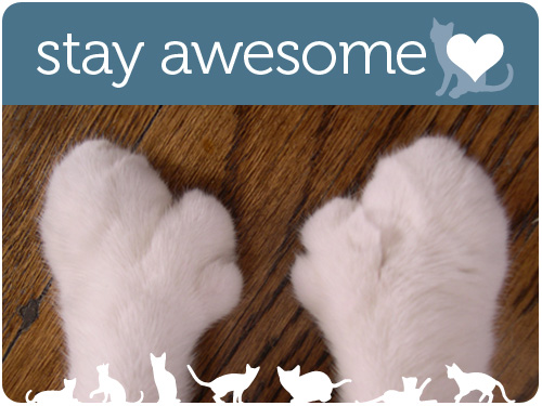 stay awesome, my cute cats