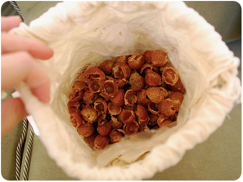 soap nuts