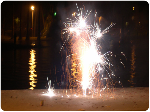 fireworks in echo park 2010