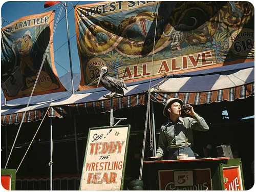 barker at the state fair