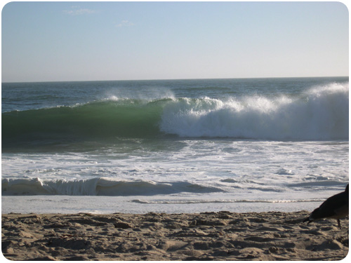 beach day in zuma, california