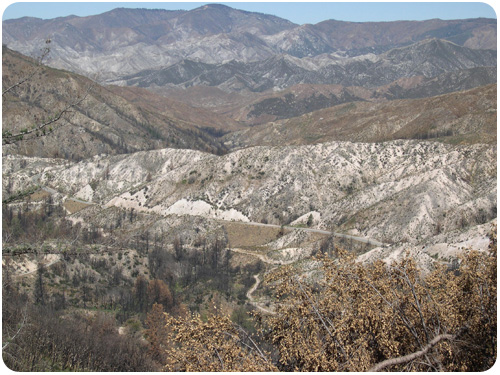 the low lands of big tujunga canyon, angeles crest forest 1 year after the station fire