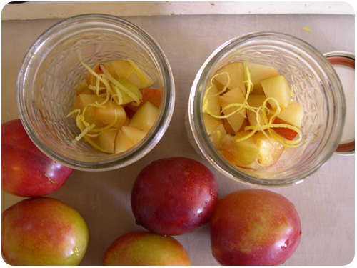 layering chopped plums and lemon zest for freezing