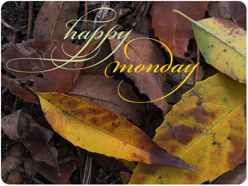 leaves in elysian park