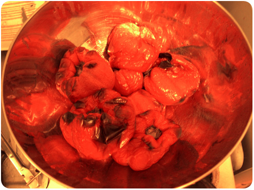roasted unpeeled peppers