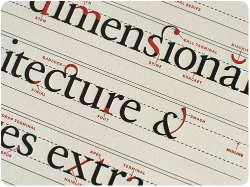 ligature, loop & stem poster
