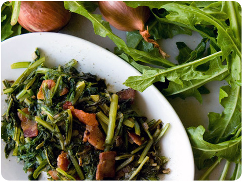 foraging for thanksgiving