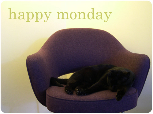 hope springs resort cat