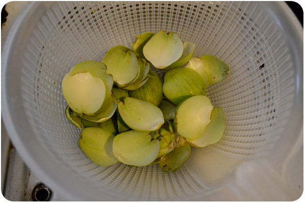 artichoke leaves