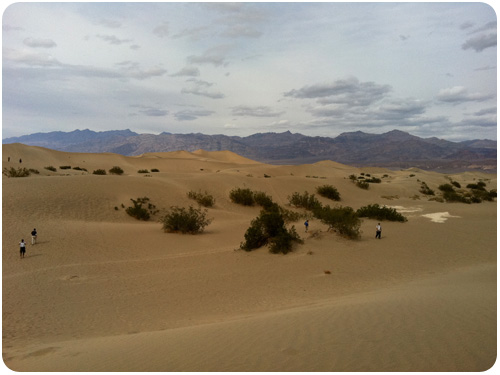 mesquite dunes in death valley