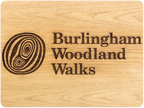 burlingham woodland walks