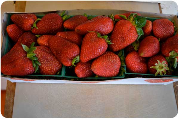 a 3-pack of strawberries fresh from the farmer's market. strawberry_3pack