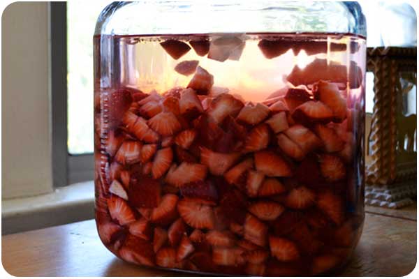 strawberries set to infuse for 36 hours. strawberries in vodka