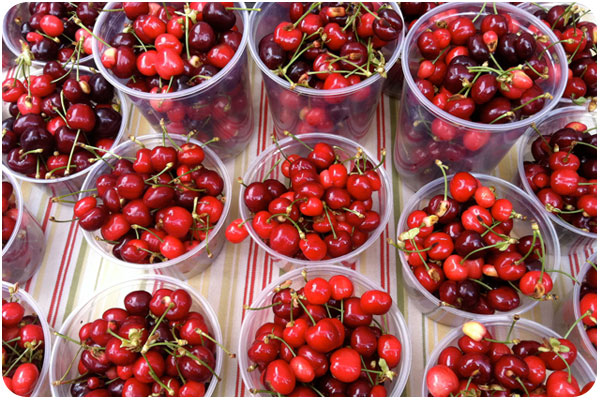fresh cherries