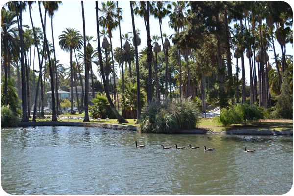 echo park island