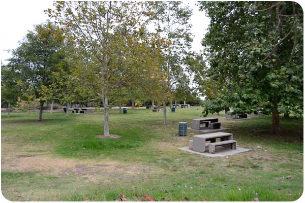the park at angel's point in elysian park