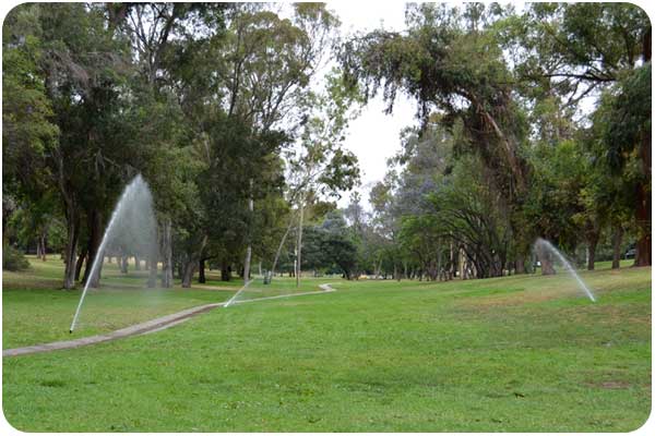 chavez ravine arboretum