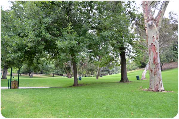 picnic area at solano canyon drive in elysian park