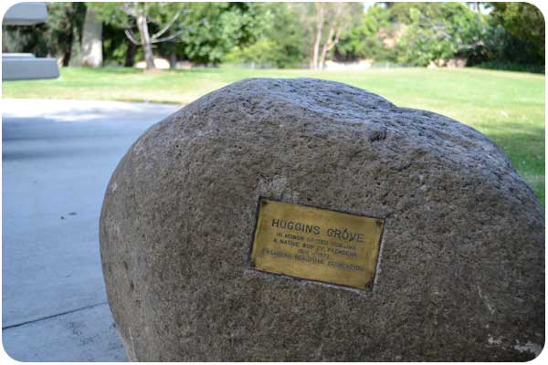 gwinn park huggins grove gwinn park huggins grove