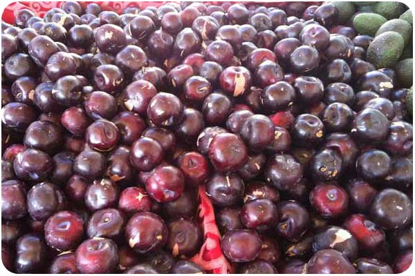 red plums