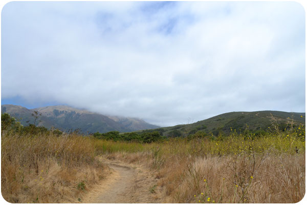 creamery meadow trail
