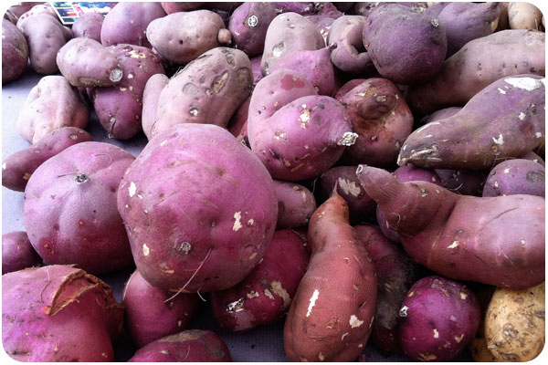 pink skinned, white flesh yams