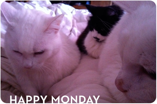 happy monday 12 12 11