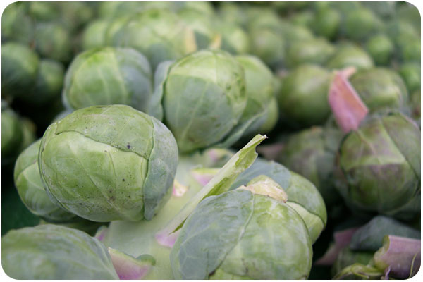 brussels sprouts at the farmer's market
