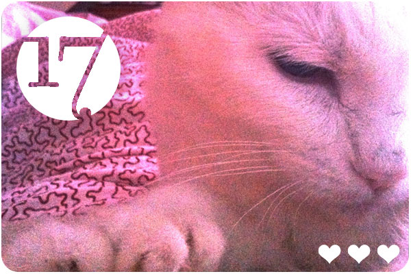 happy birthday motor