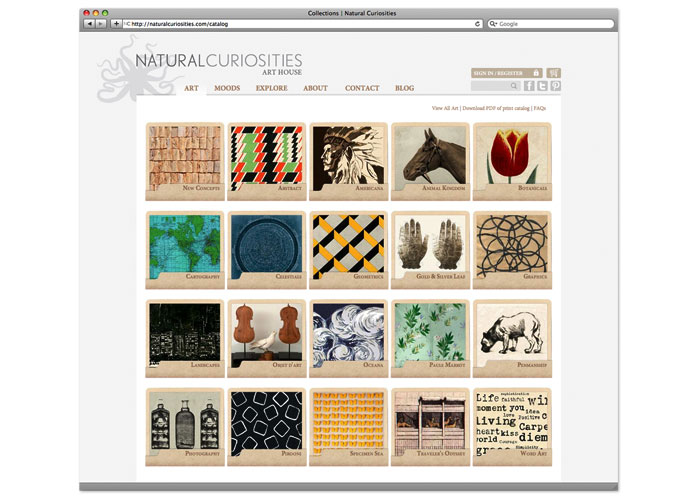 natural curiosities art catalog