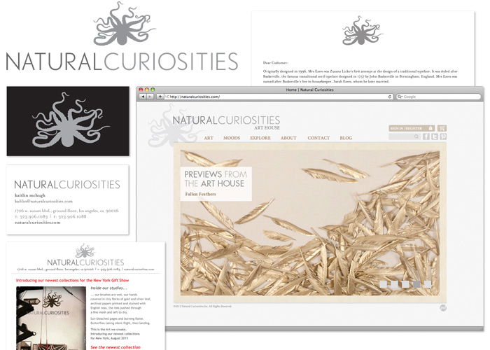 natural curiosities identity package