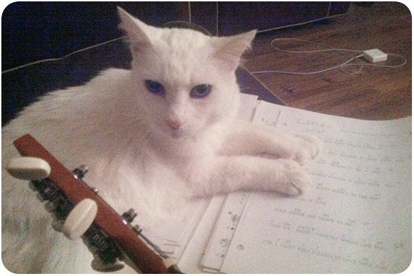 i can't help falling in love with you